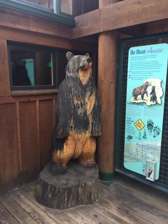 Bear in front of the visitor center